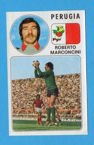 Panini calciatori - panini,