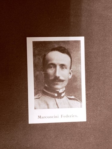 Onorevole marconcini - l'onorevole,